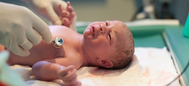 резус фактор генетика резус фактор генетика