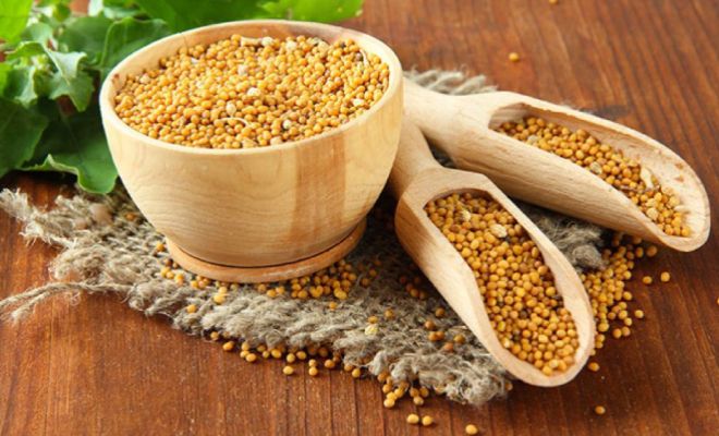 семена горчицы польза и вред для организма семена горчицы польза и вред для организма