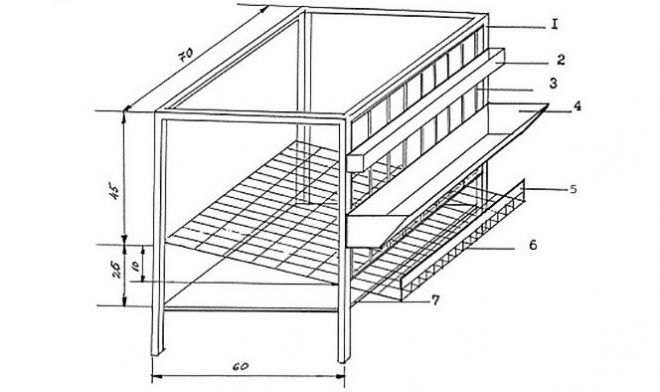 схема клетки для перепелов схема клетки для перепелов