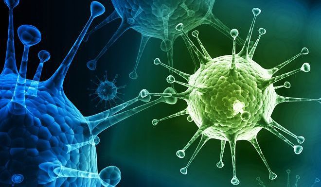 спонтанная форма вторичного иммунодефицита спонтанная форма вторичного иммунодефицита