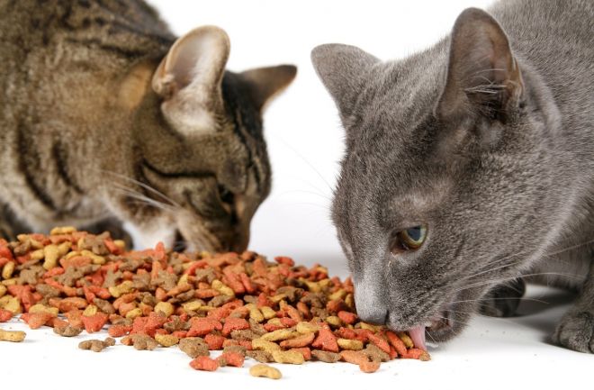 сухой корм перфект фит для кошек сухой корм перфект фит для кошек