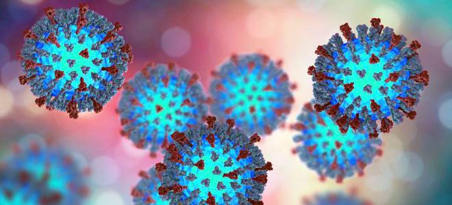 возбудитель кори возбудитель кори