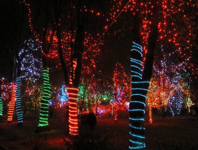 оформление деревьев гирляндами оформление деревьев гирляндами