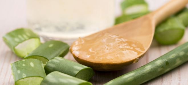 алоэ для укрепления волос алоэ для укрепления волос