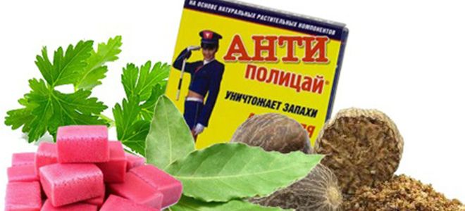 аптечные средства от перегара аптечные средства от перегара