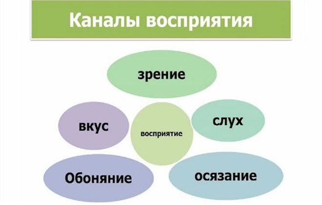 каналы восприятия каналы восприятия