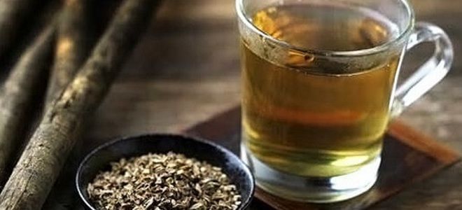 Корень лопуха для печени Корень лопуха для печени