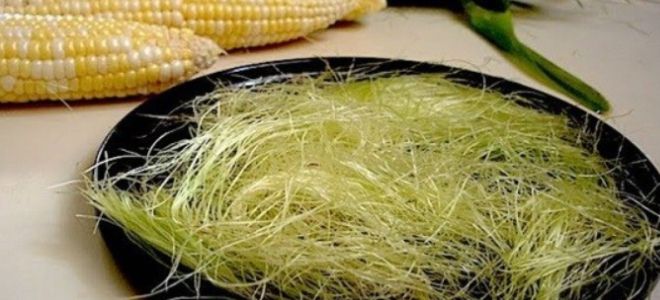 кукурузные рыльца для желчного пузыря кукурузные рыльца для желчного пузыря