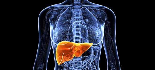 лекарства для печени и желчного пузыря лекарства для печени и желчного пузыря