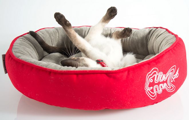 лежанка для котов лежанка для котов