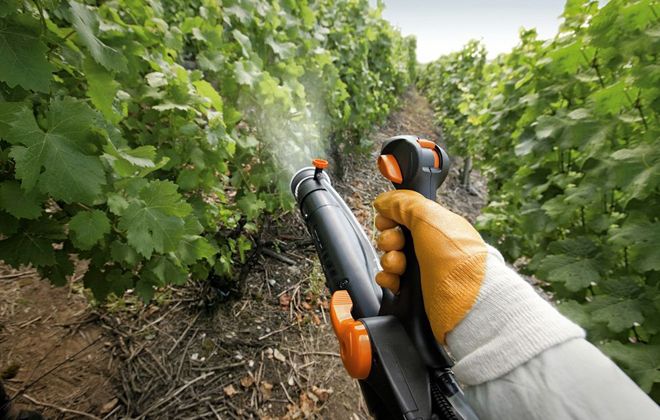 опрыскивание в период вегетации опрыскивание в период вегетации