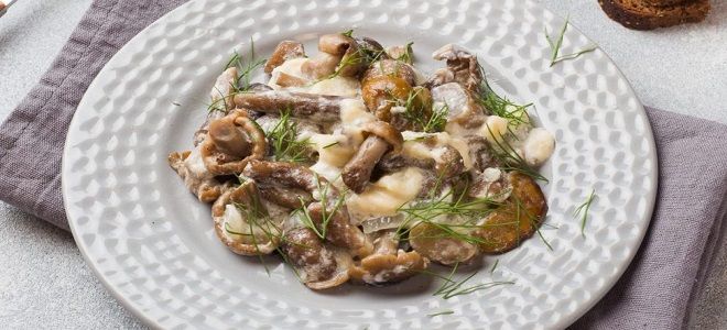 опята жареные в сметане опята жареные в сметане