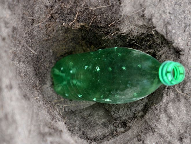 полив с бут лкой полив с бут лкой