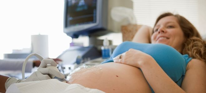 узи 13 недель беременности узи 13 недель беременности