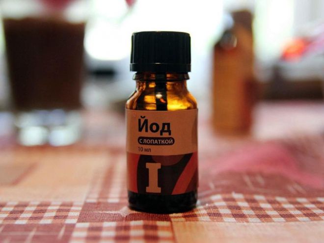 Йод от мучнистой росы на розах Йод от мучнистой росы на розах