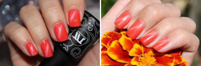 оранжевый маникюр кошачий глаз оранжевый маникюр кошачий глаз