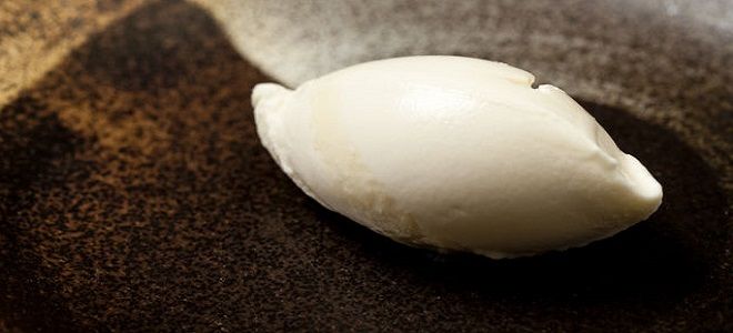 фото4 как приготовить мороженое из молока и сгущенки