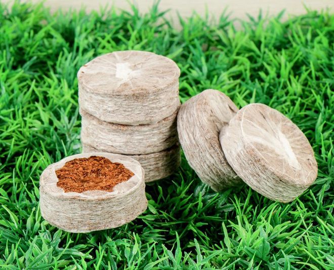 кокосовые таблетки кокосовые таблетки