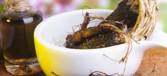 Корень лопуха для суставов Корень лопуха для суставов