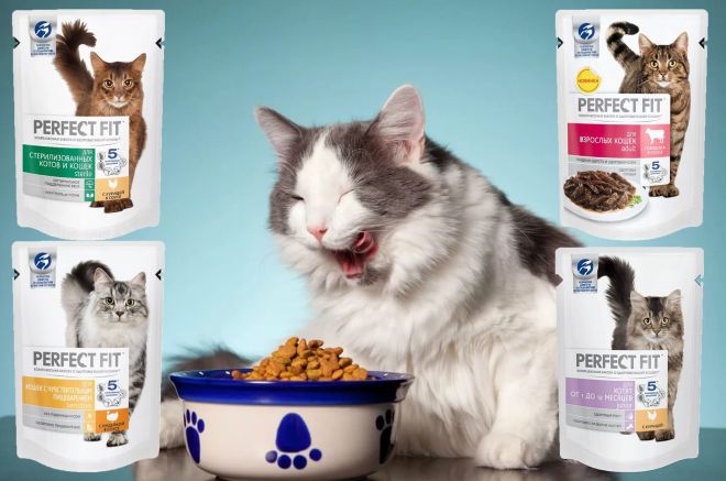 корм для кошек перфект фит линейка корм для кошек перфект фит линейка