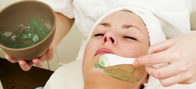 маска от угрей с алоэ маска от угрей с алоэ