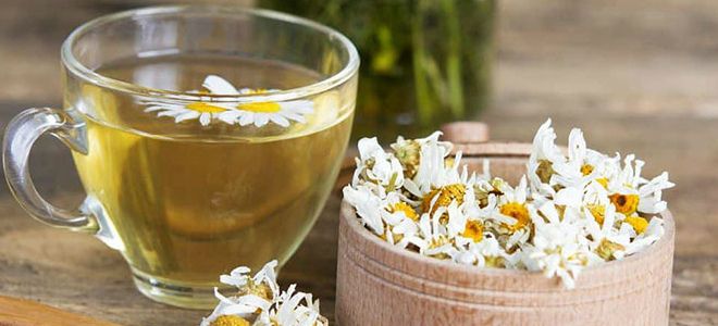 мочегонные травы мочегонные травы