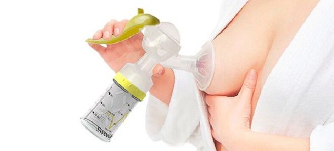 Нужно ли сцеживать молоко при завершении лактации Нужно ли сцеживать молоко при завершении лактации