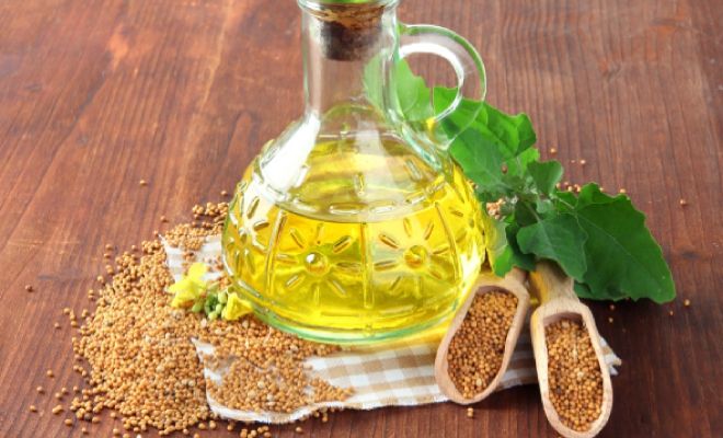 польза и вред горчичного масла польза и вред горчичного масла