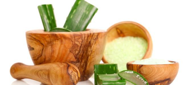 рецепты масок для волос с алоэ рецепты масок для волос с алоэ