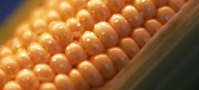 самодельныи массажер для спины и шеи самодельныи массажер для спины и шеи