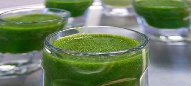 сок репейника сок репейника