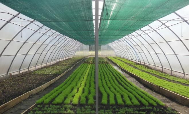 затеняющая сетка для теплиц затеняющая сетка для теплиц