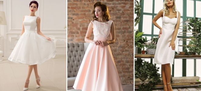 Коктейльные платья миди Коктейльные платья миди