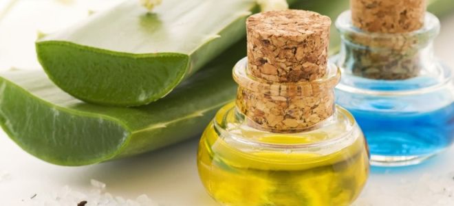 как сделать маску для волос из алоэ как сделать маску для волос из алоэ