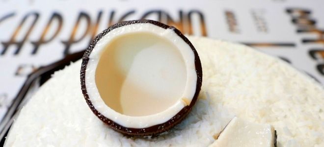 кокосовый торт от агзамова кокосовый торт от агзамова