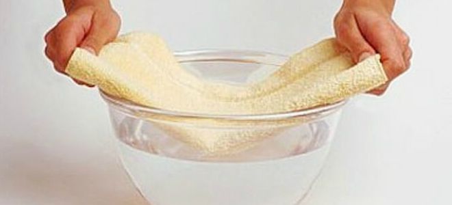 народные рецепты от отеков народные рецепты от отеков