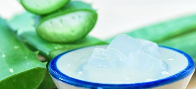 Травы для кожи Травы для кожи