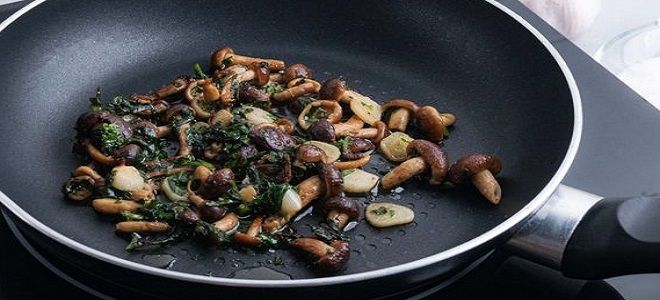 жареные опята с чесноком жареные опята с чесноком