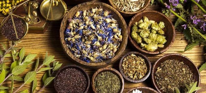 Сбор лекарственных трав Сбор лекарственных трав