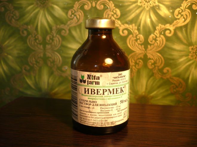 ивермек при демодекозе собак ивермек при демодекозе собак