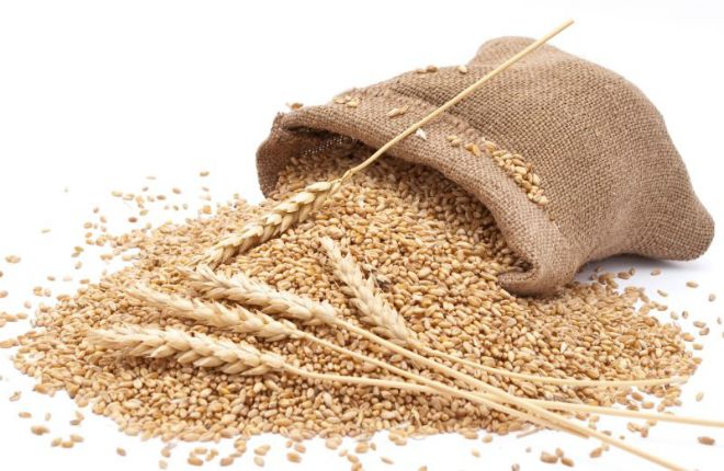 как выбрать пшеничные отруби как выбрать пшеничные отруби