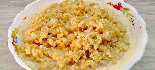 как варить булгур на молоке как варить булгур на молоке