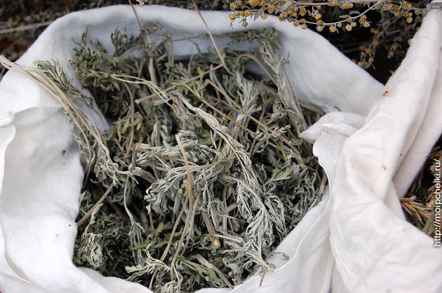 народные средства от глистов у собак народные средства от глистов у собак