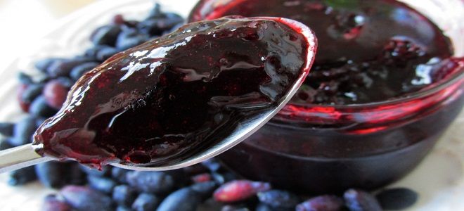 варенье из жимолости с агаром варенье из жимолости с агаром