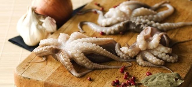 Вареные щупальца кальмара Вареные щупальца кальмара