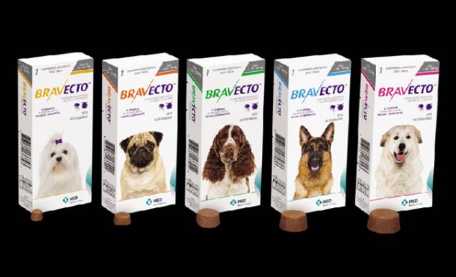 бравекто при демодекозе у собак бравекто при демодекозе у собак