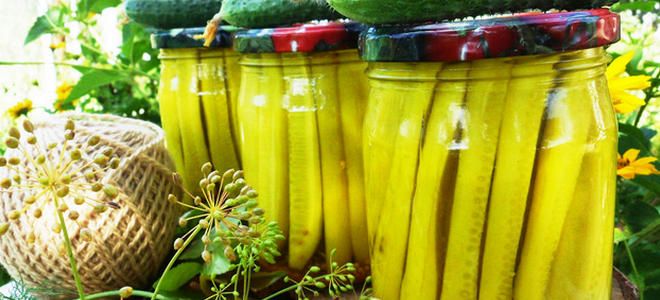 маринованные огурцы с куркумой на зиму маринованные огурцы с куркумой на зиму