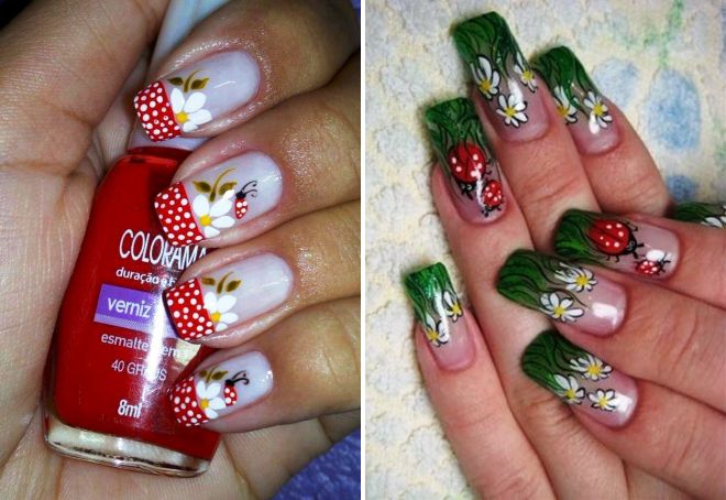 ногти с божьими коровками и ромашками ногти с божьими коровками и ромашками