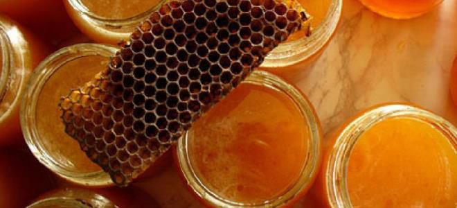 прополис от грибка ногтей прополис от грибка ногтей