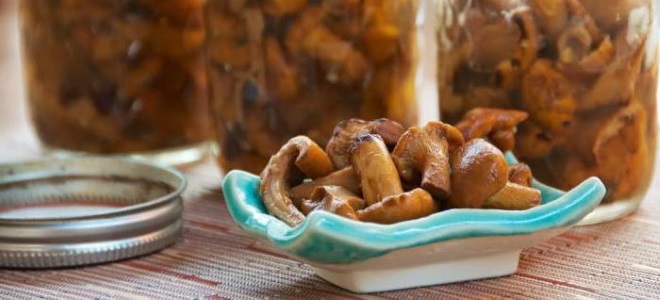 как пожарить рыжики на зиму